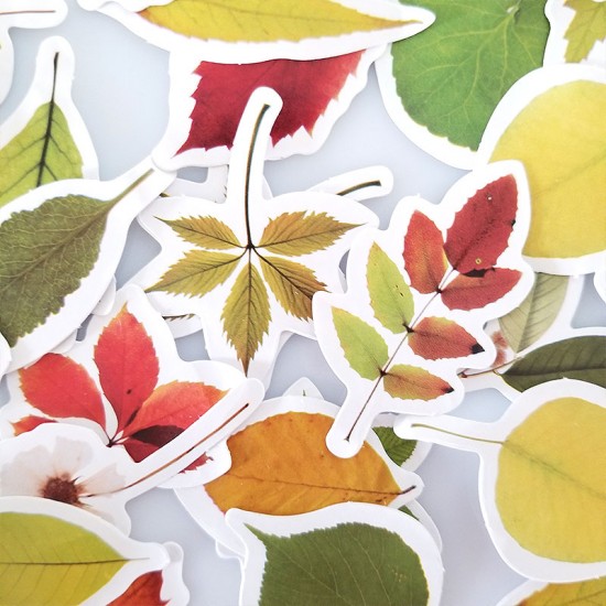 Leaves Stickers Set C