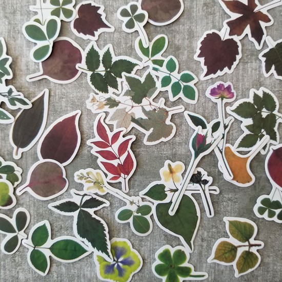Leaves Stickers Set D