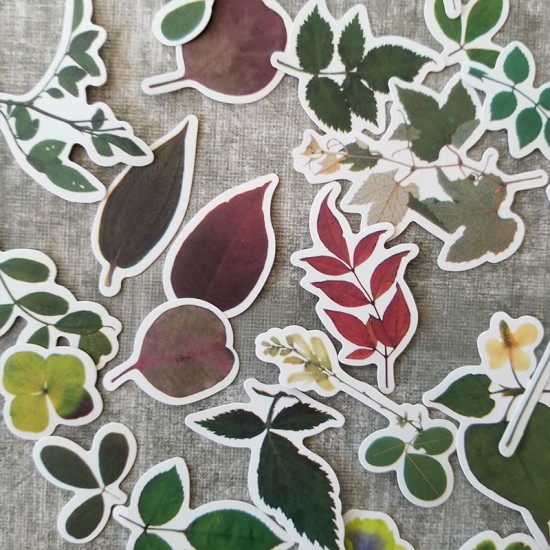 Leaves Stickers Set D