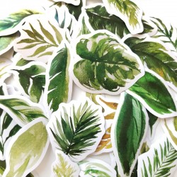 Tropical Leaves Stickers